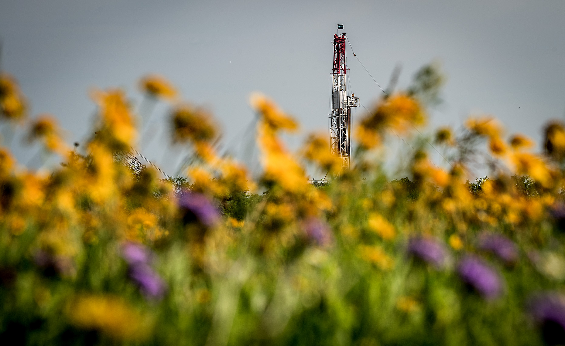 Flowers and Oil Drilling Rig Photo