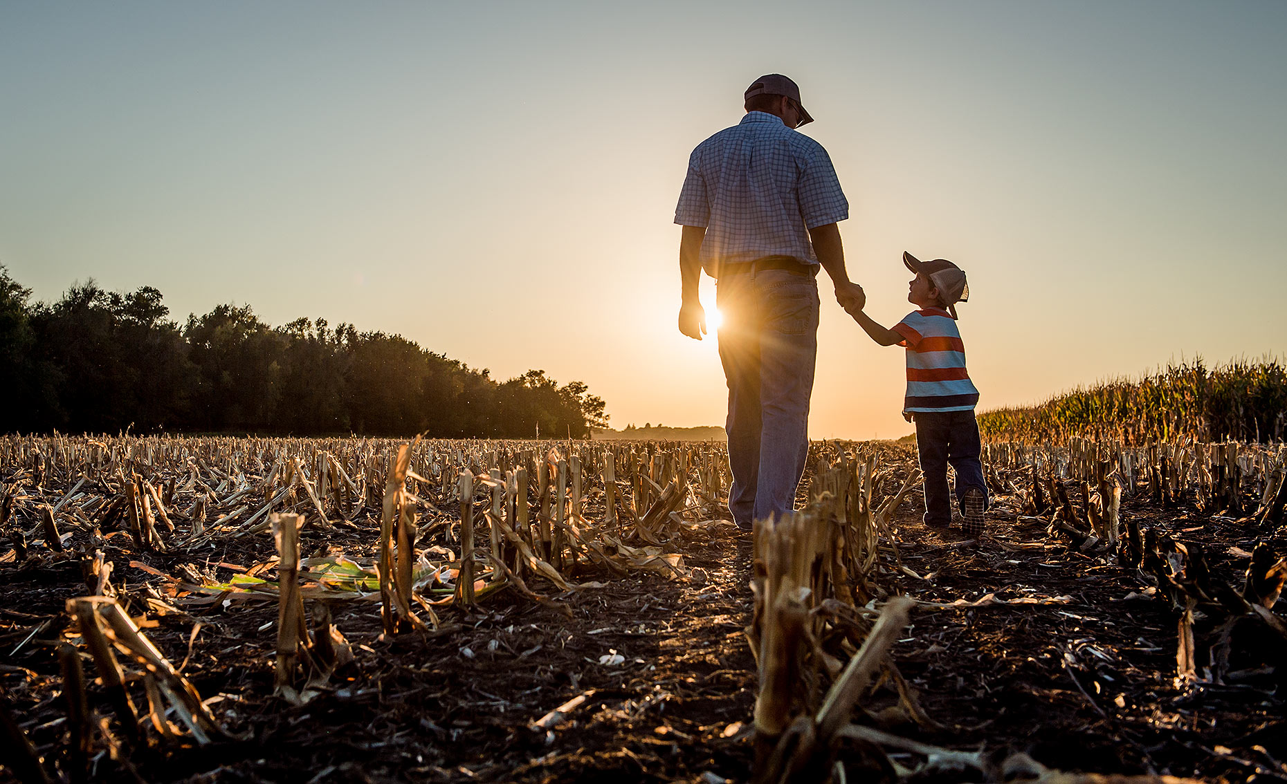 Father and Son Walking in Cornfield