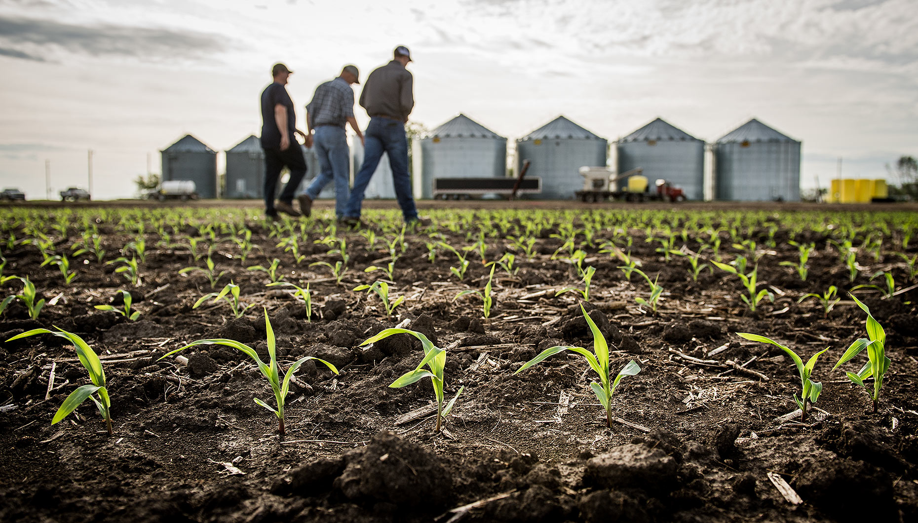 Agronomist and Farmers in Cornfield