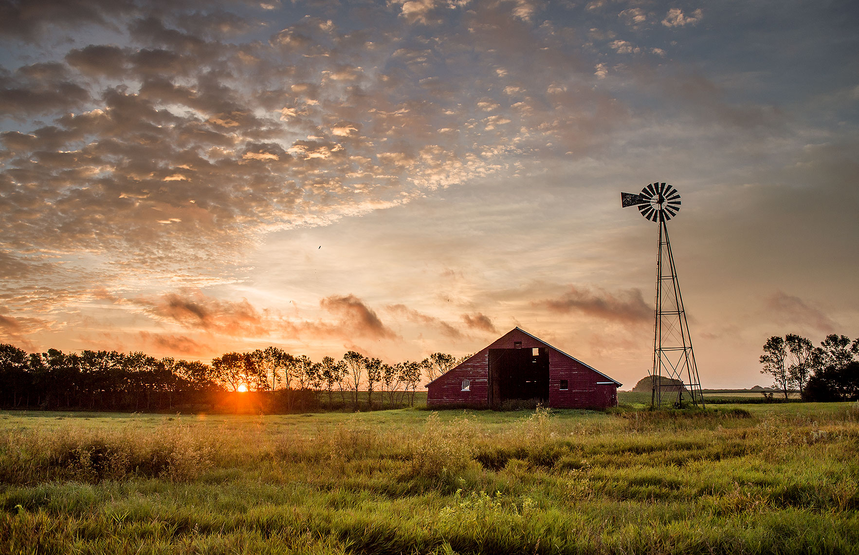 Farm Photography at Sunrise