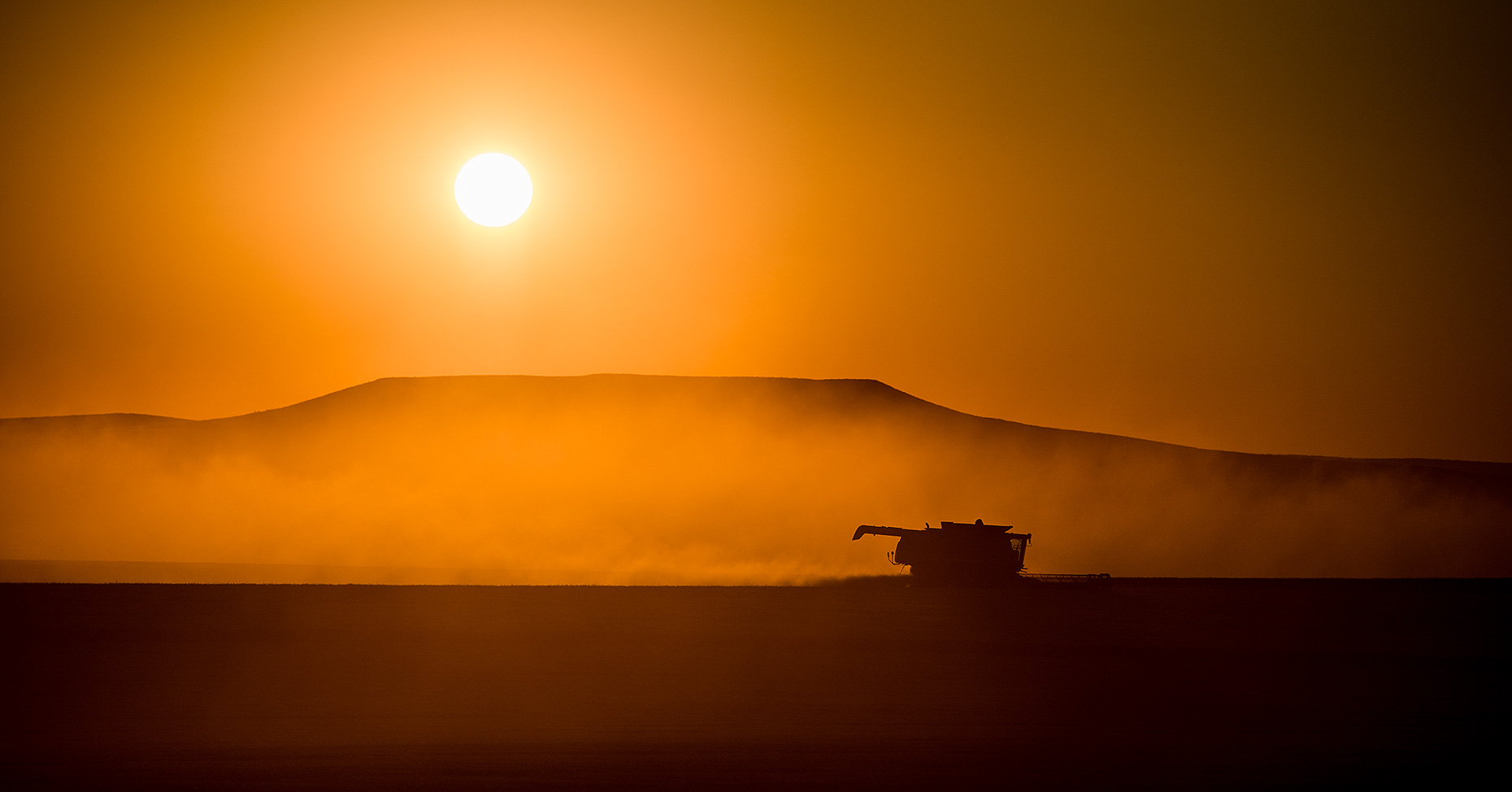 Combine Harvesting Wheat at Sunset
