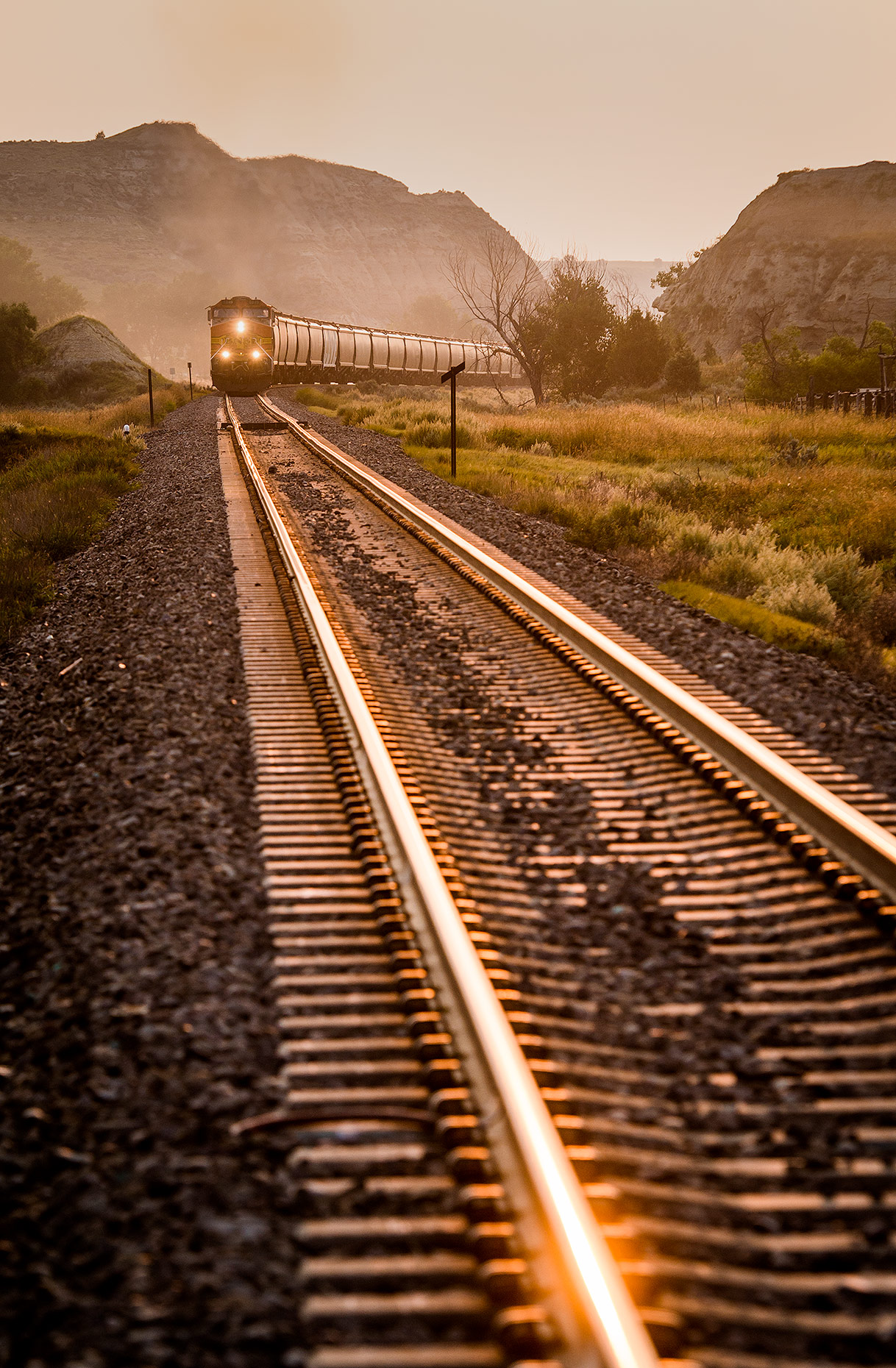 Train on Tracks at Sunrise