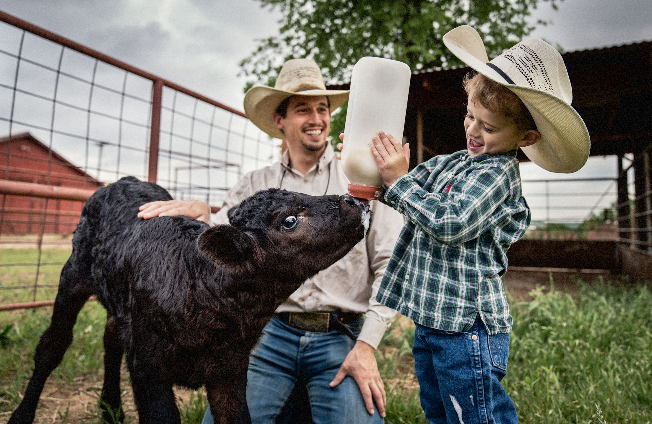 Rancher and Son with Bottle Calf Photo