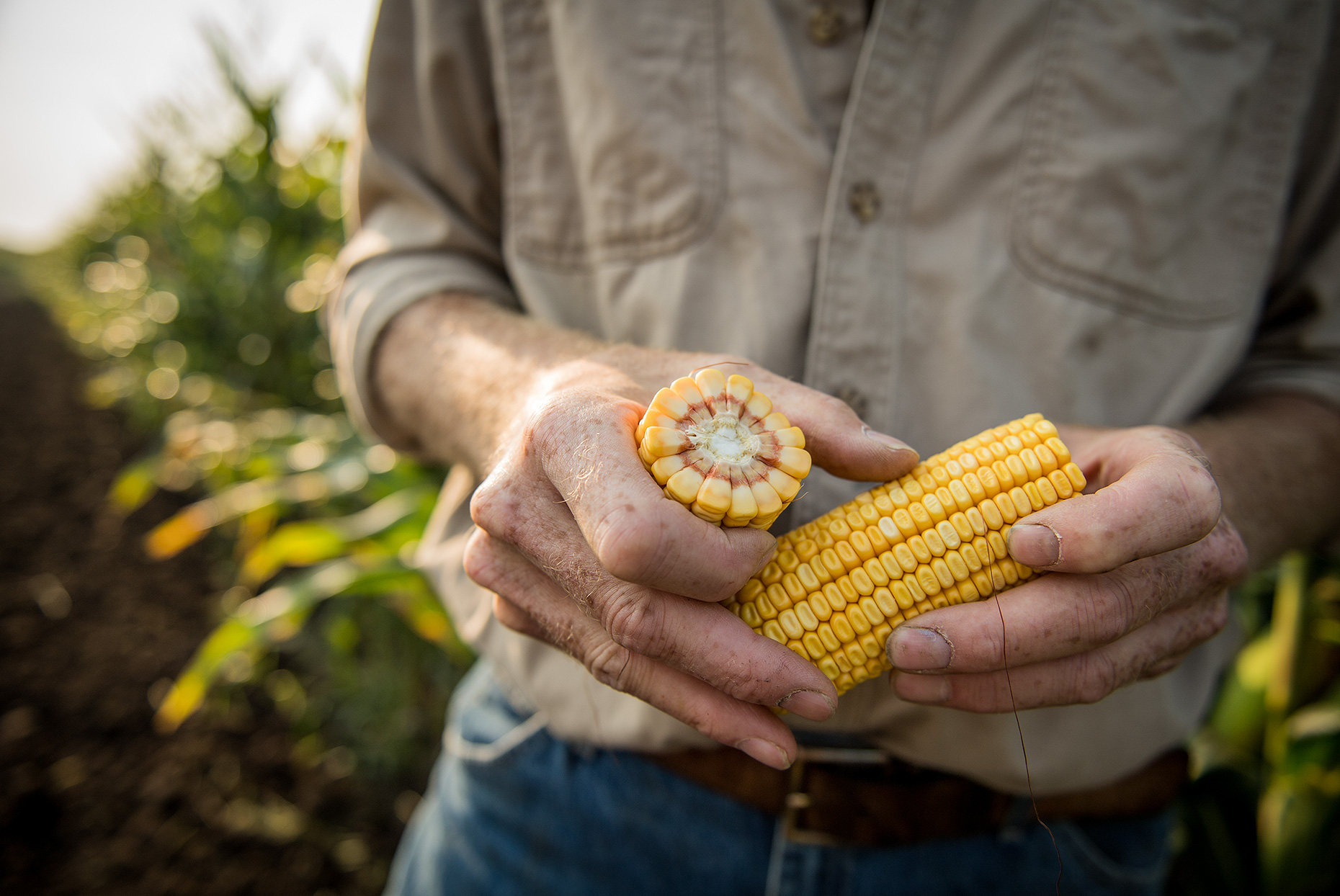 Farmer Photography with Corn