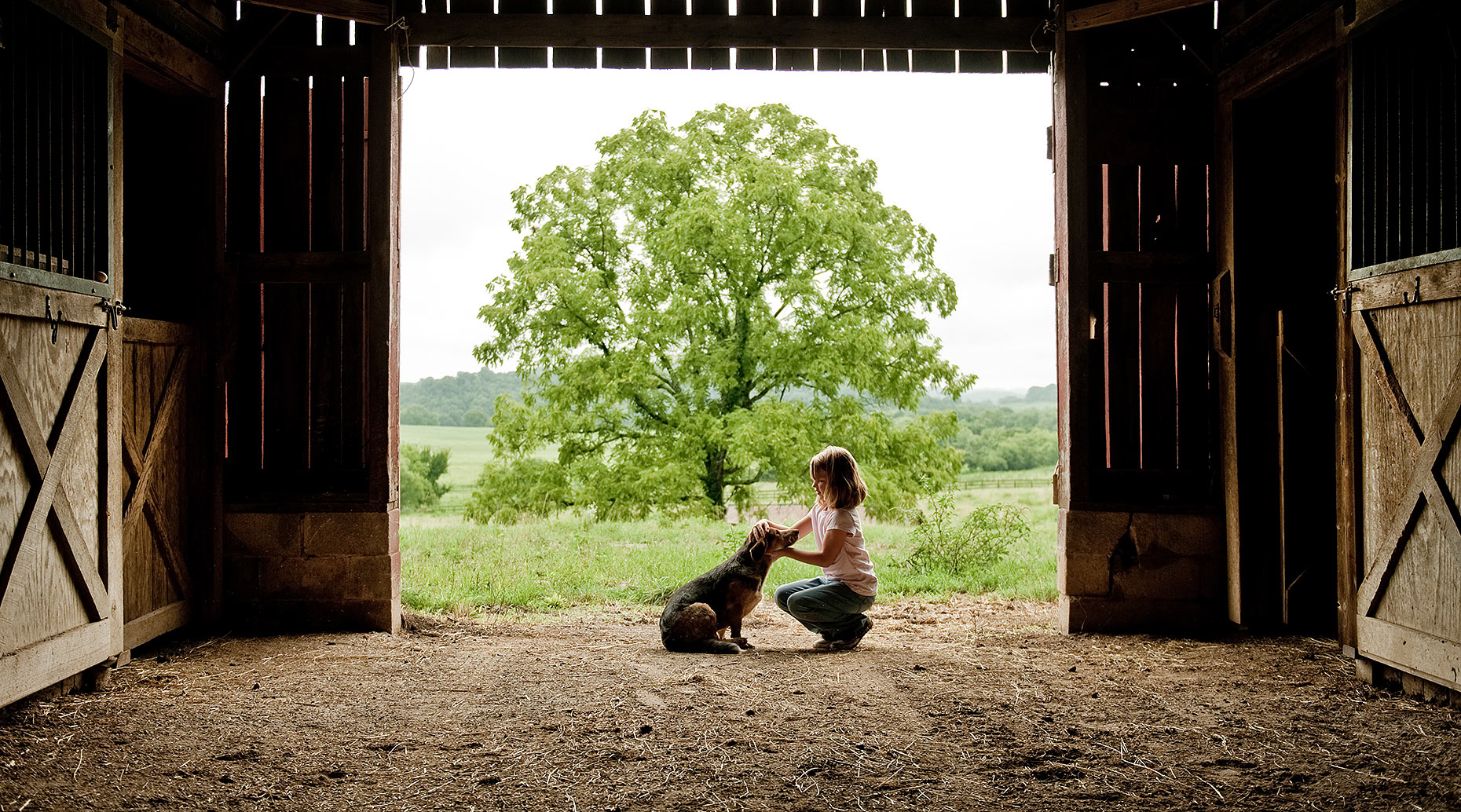 Girl and Dog in Barn on Farm