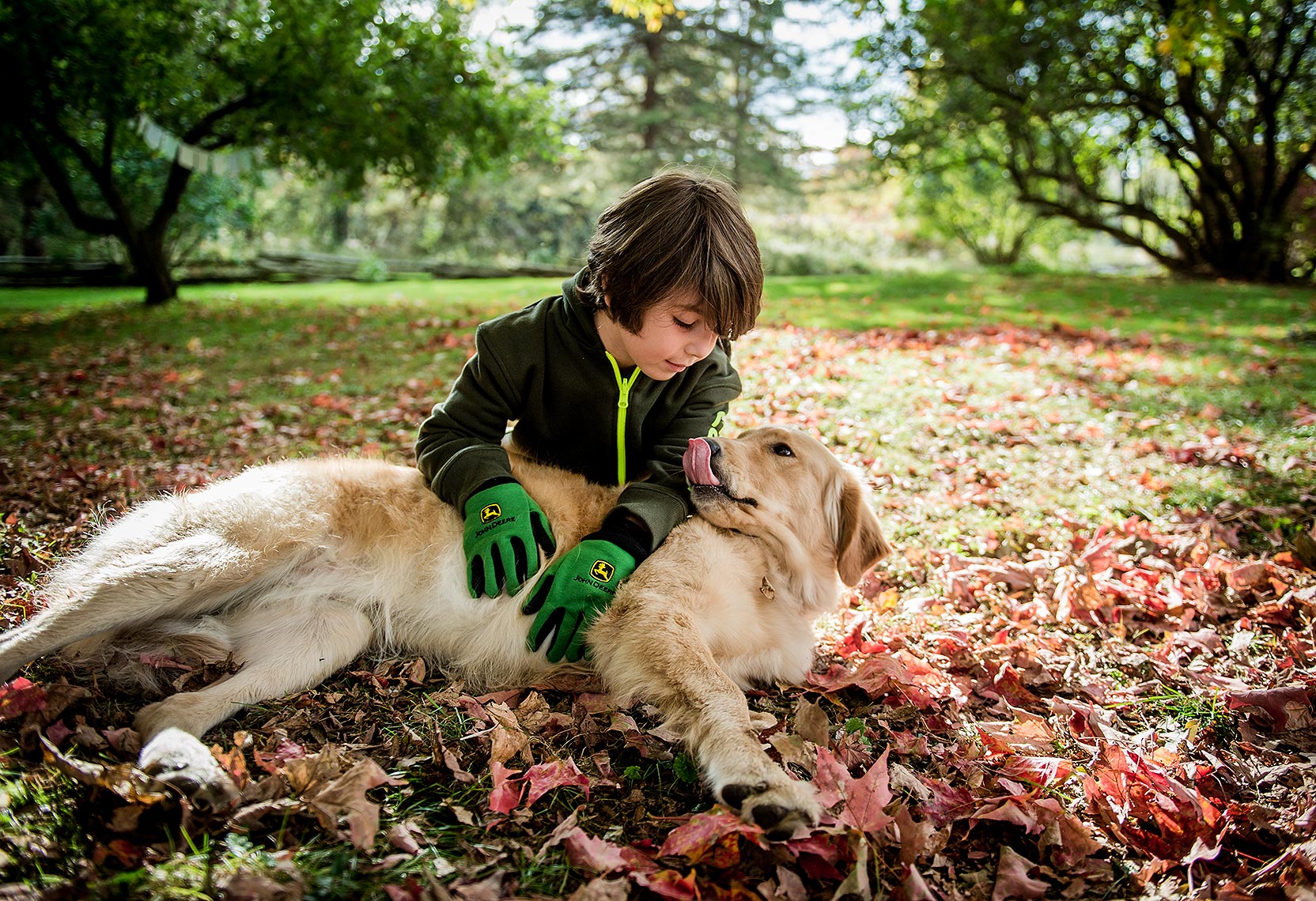 Dog and Boy in Autumn Leaves