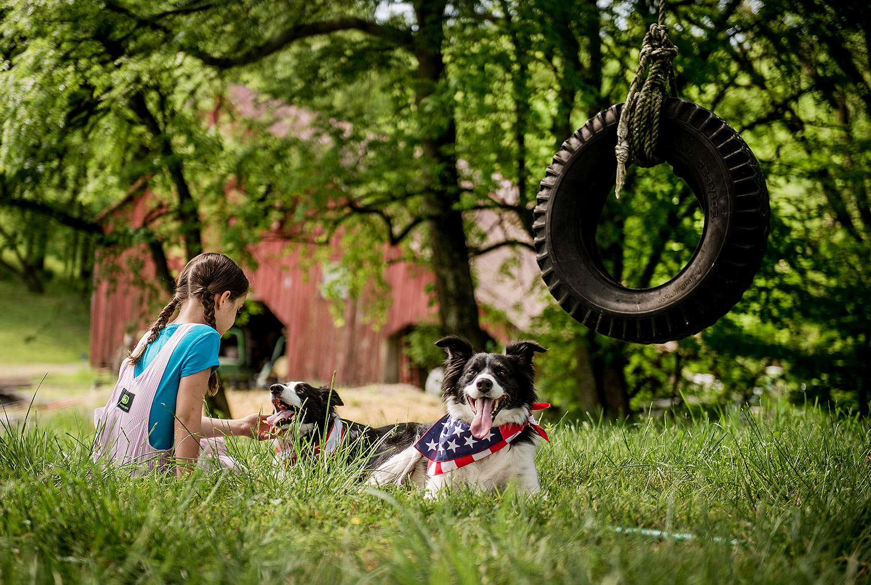 Girl with Dogs and Tire Swing