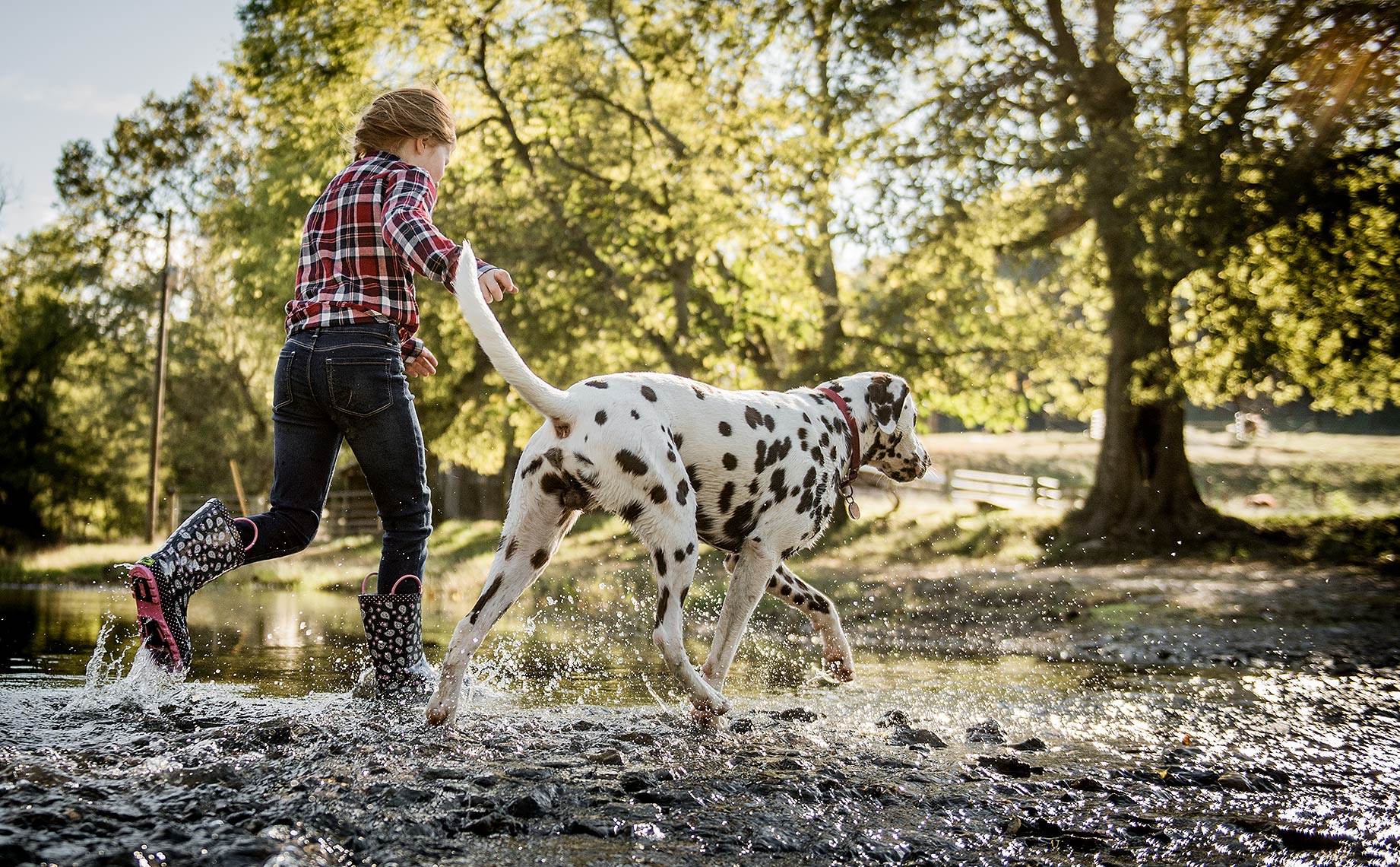 Girl with Dalmation in the Creek