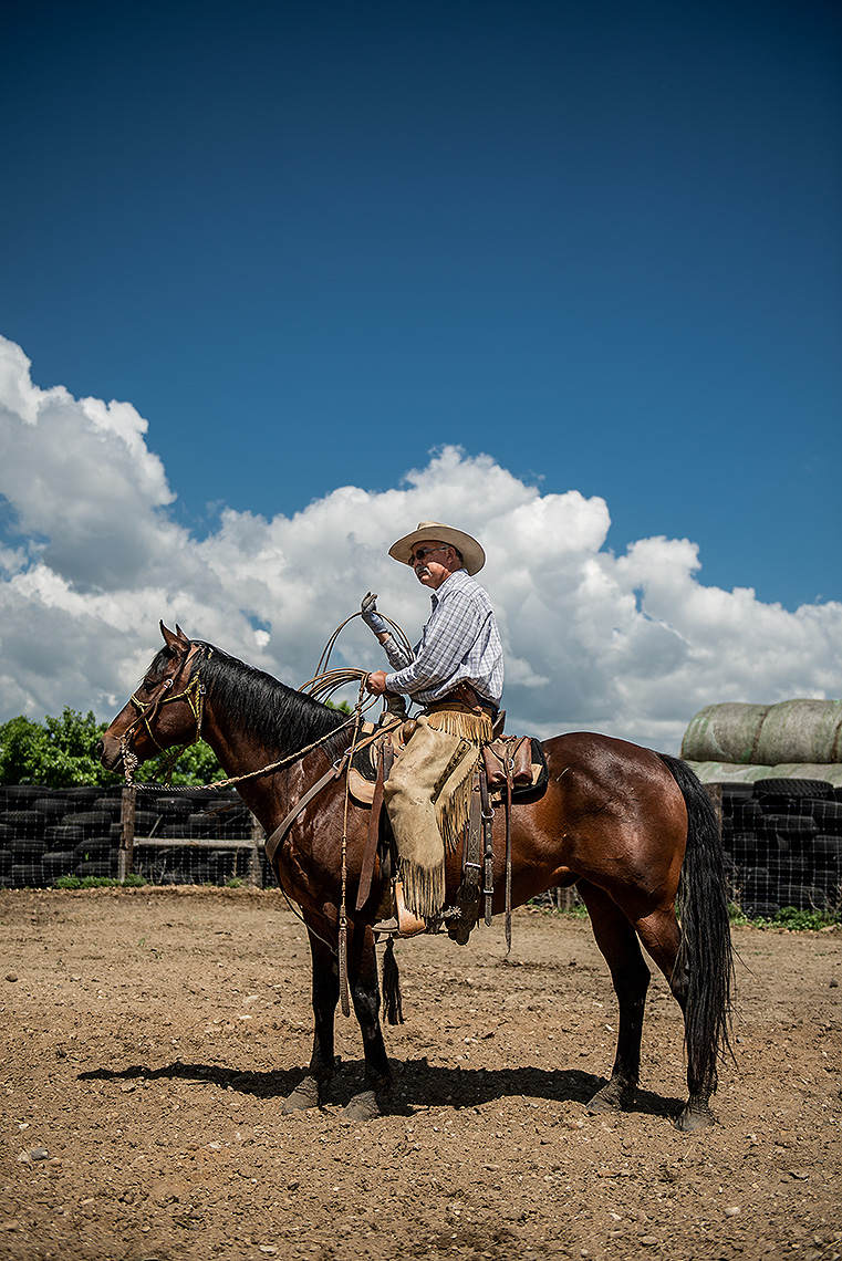 Cowboy and Horse Portrait