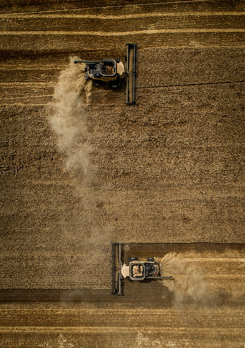 Wheat Harvest Photography