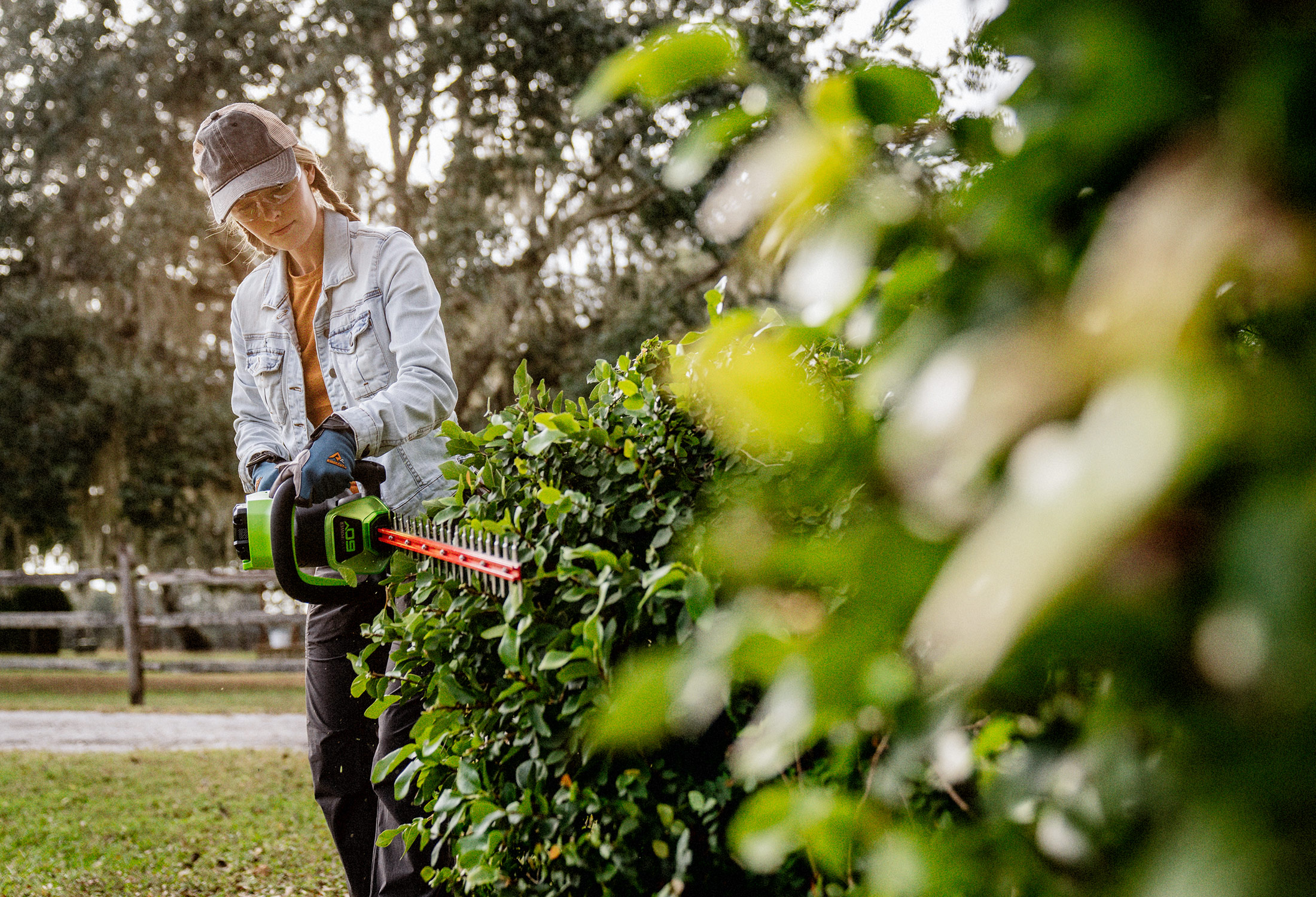 Trimming Shrubs
