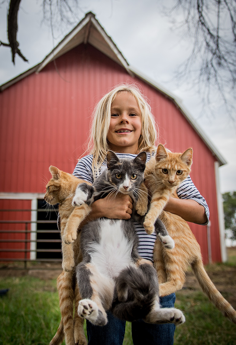 Farm Photography in the Midwest
