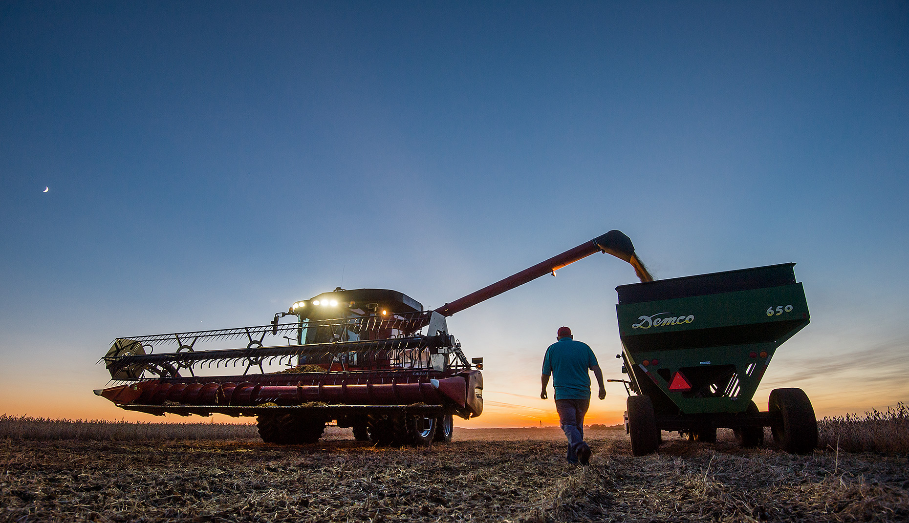Soybean Harvest at Sunset