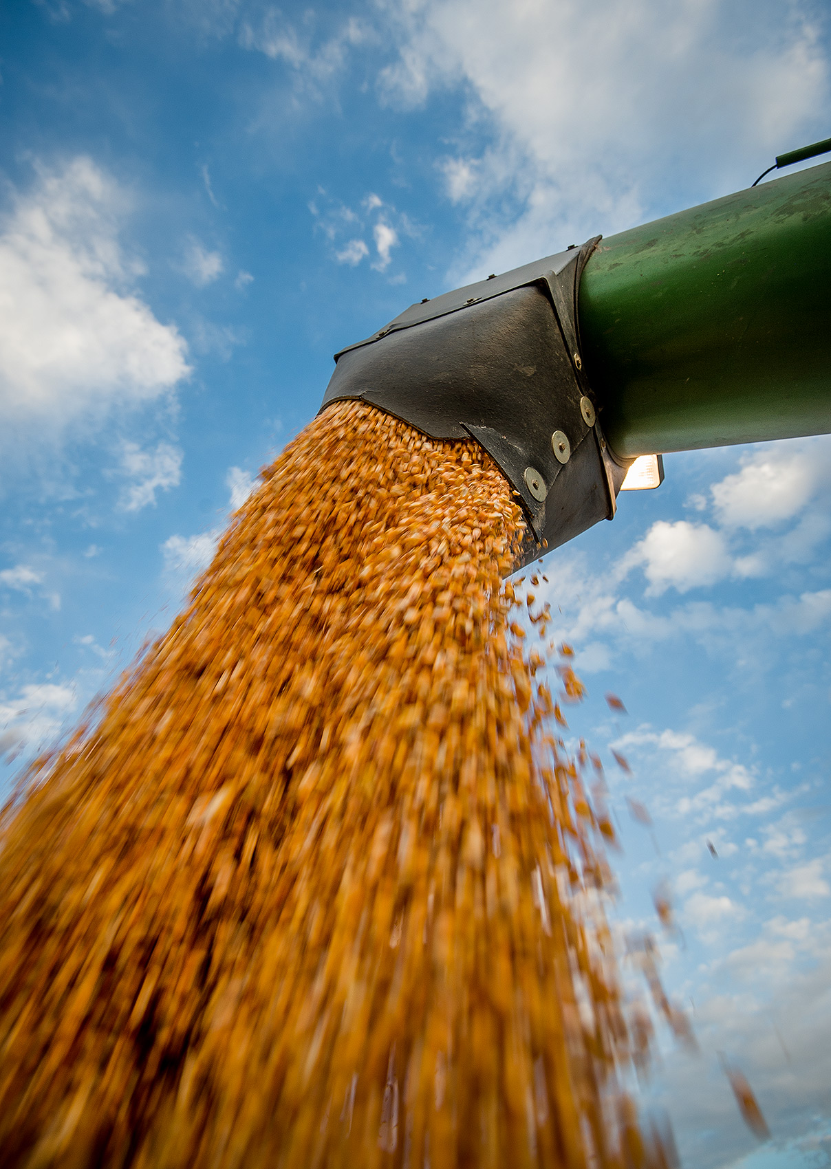 Combine Dumping Corn in Grain Truck