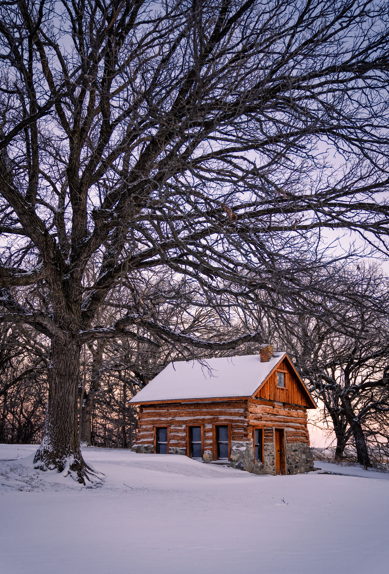 Snow Covered Log Cabin Photo