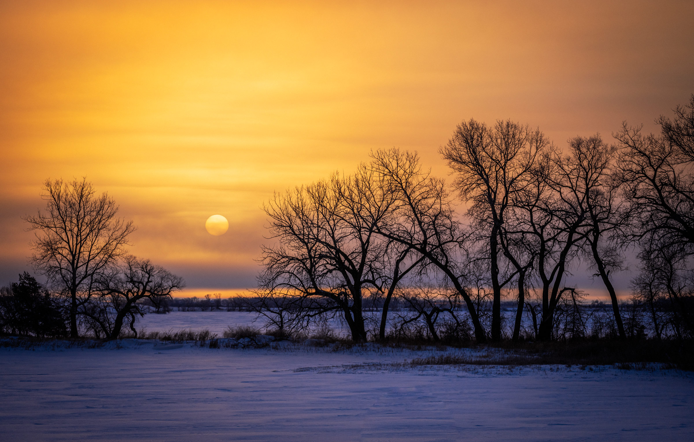 Morning Sunrise in Winter Photo