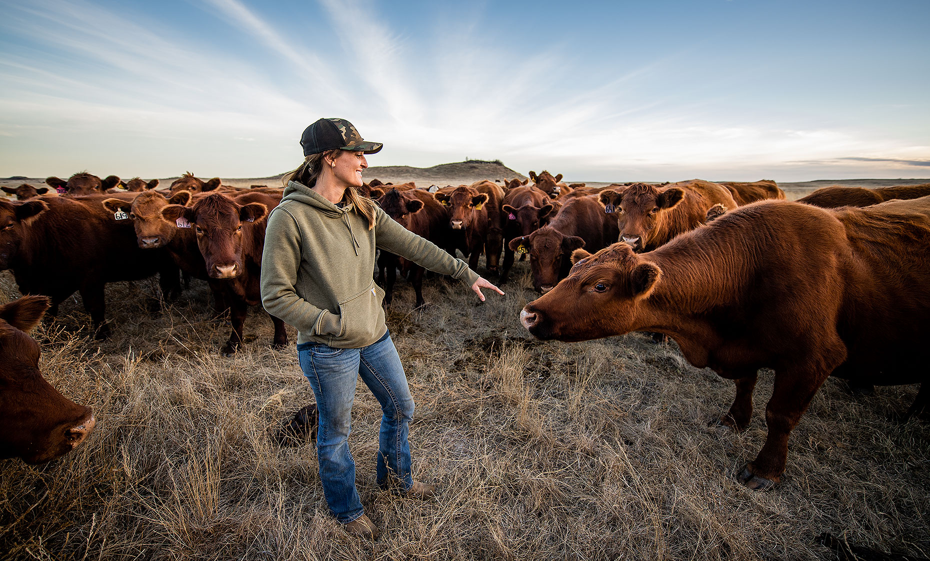 Woman Rancher and Cattle