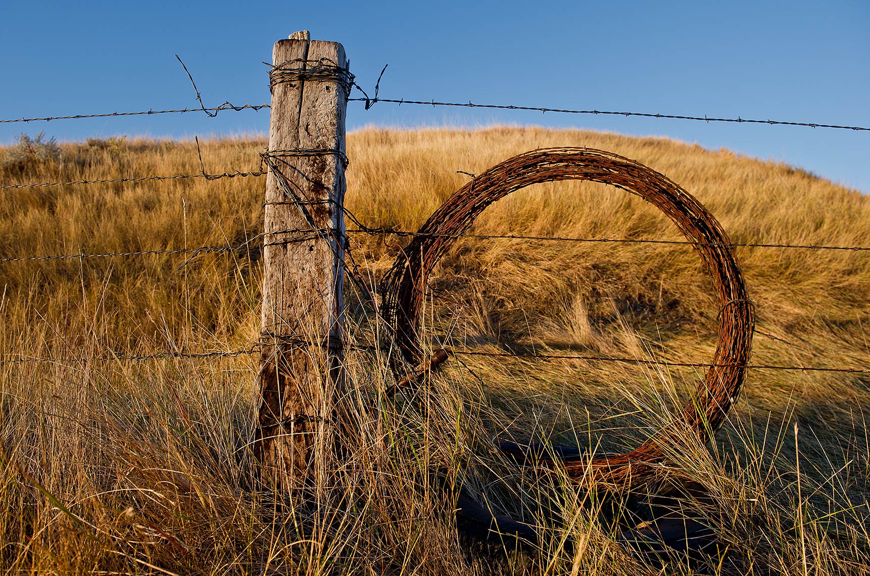 Prairie Fence Post