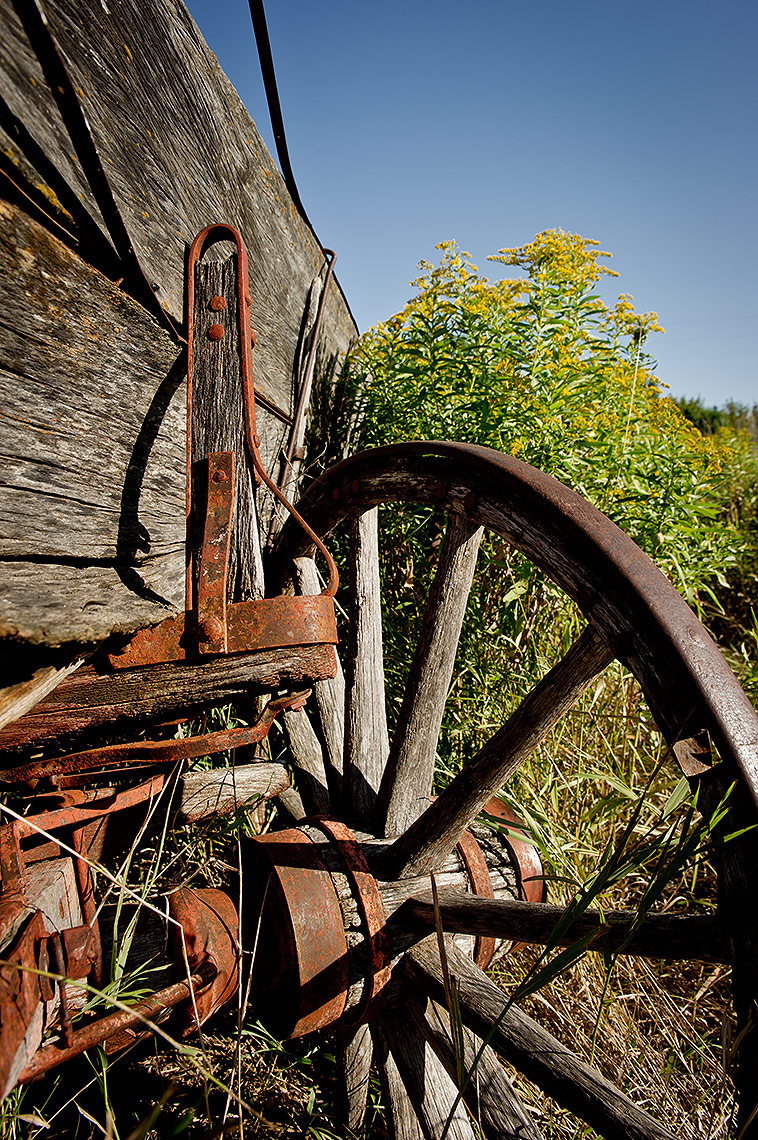 Antique Wagon on the Prairie