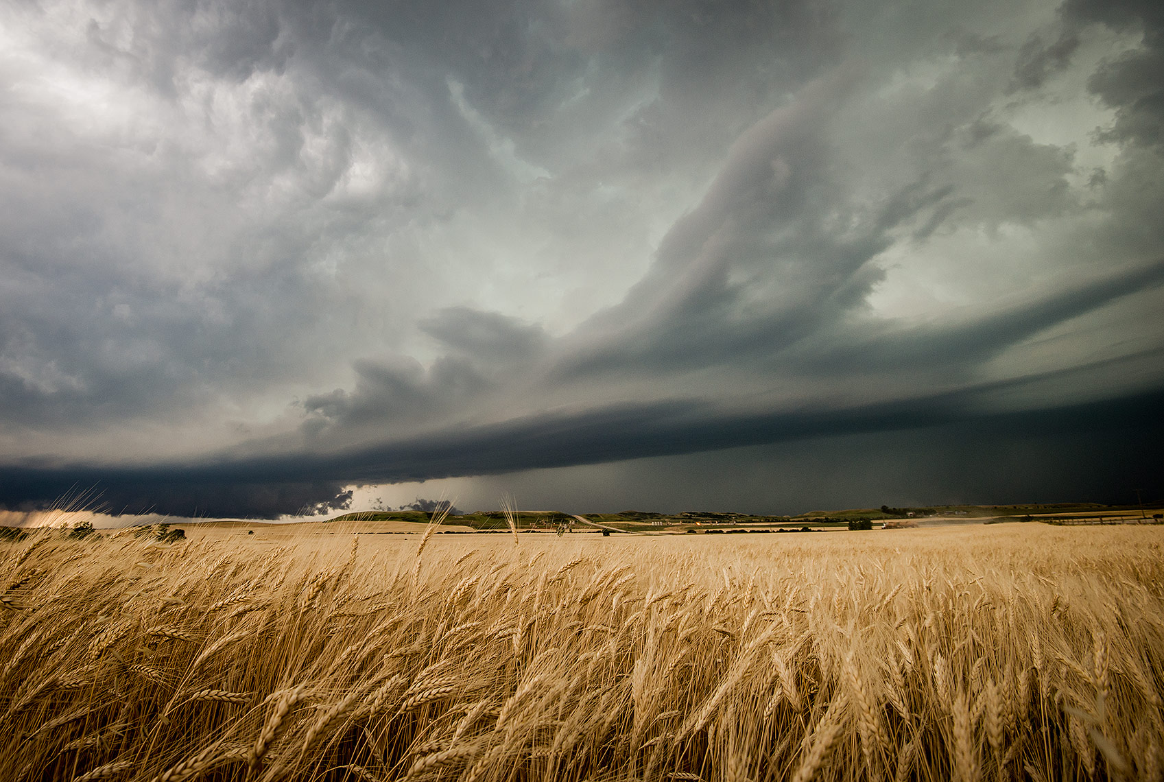 Thunderstorm and Wheat Field