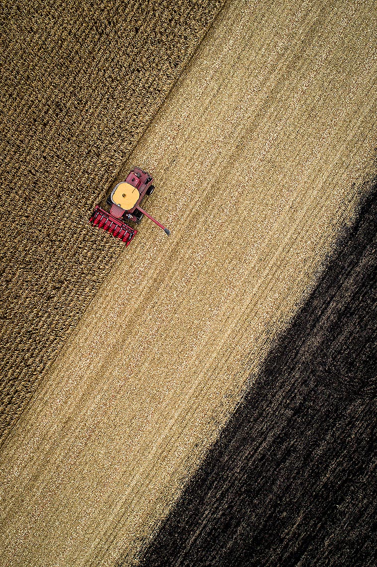 Drone Photograph of Corn Harvest