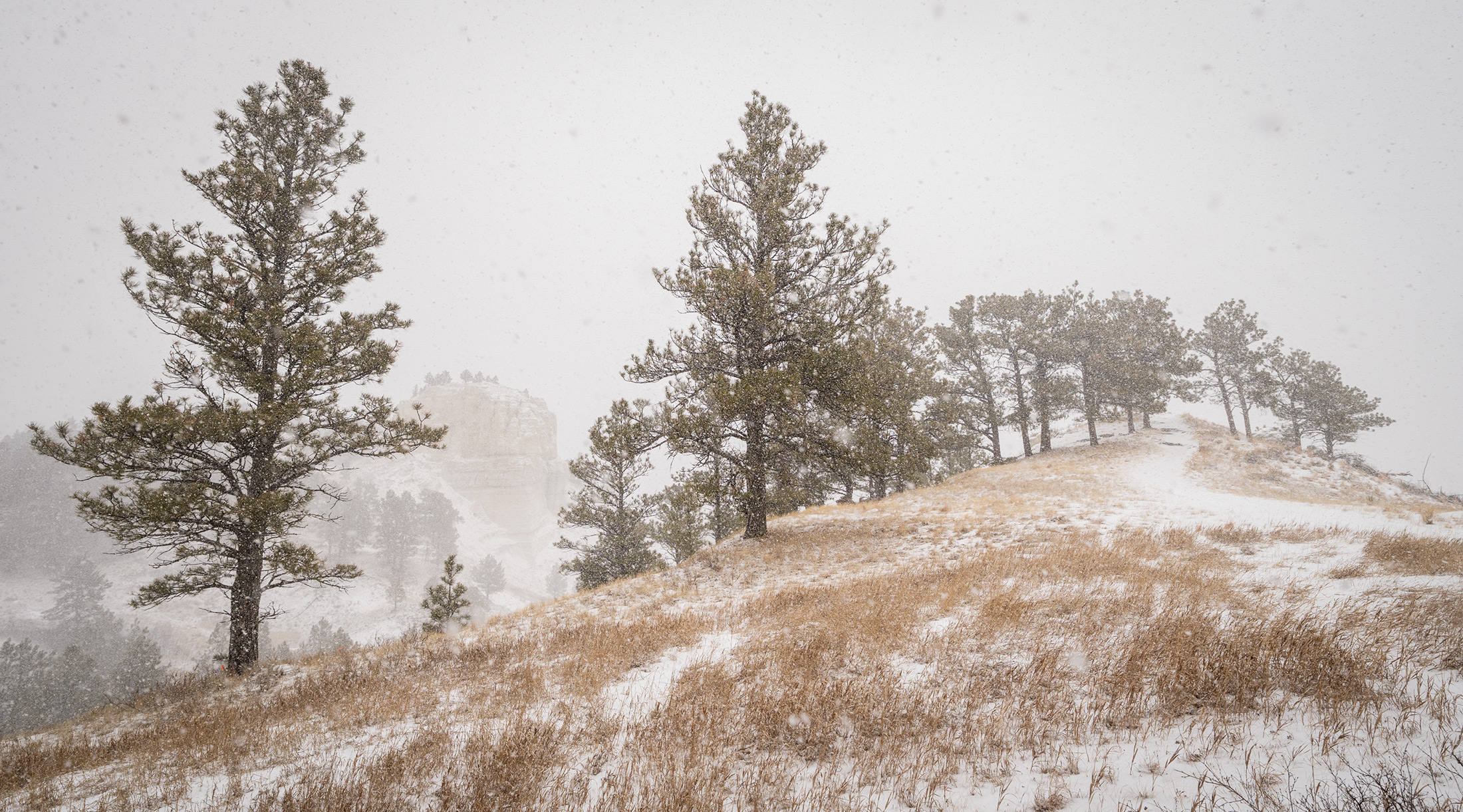 Blizzard at Slim Buttes