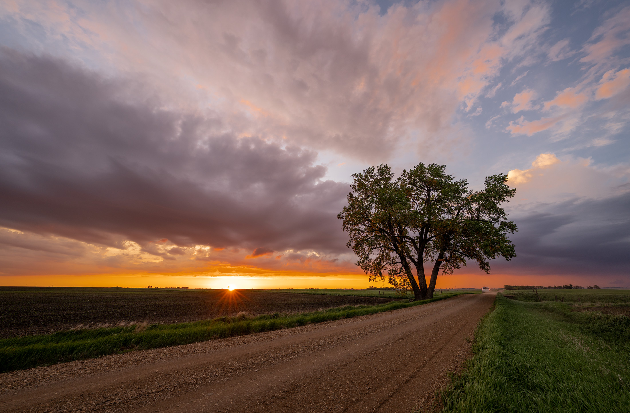 Trees and Gravel Raod at Sunset