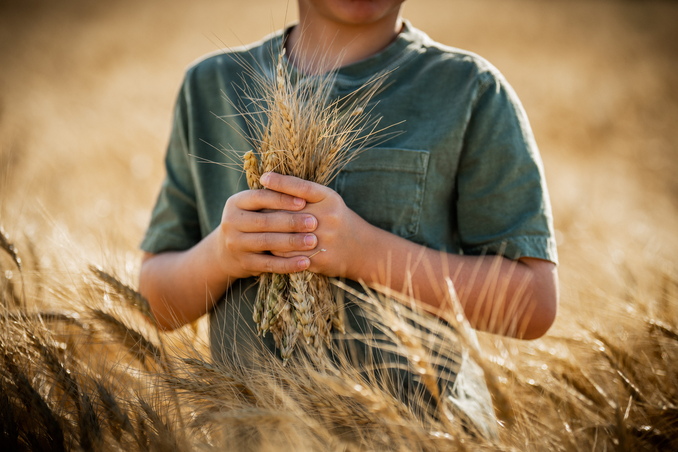 Boy with Wheat Photograph