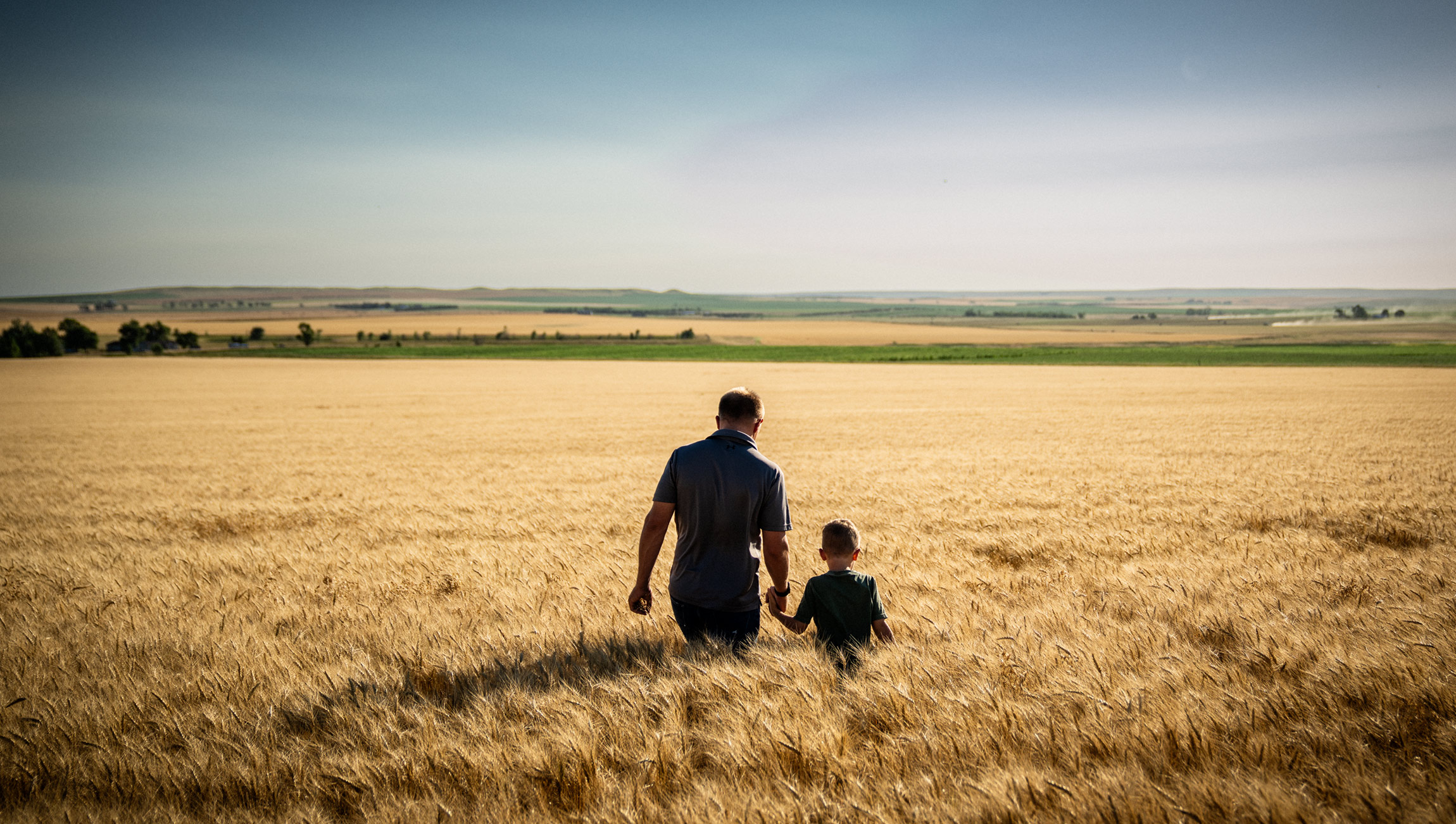 Father and Son in Wheat Photo