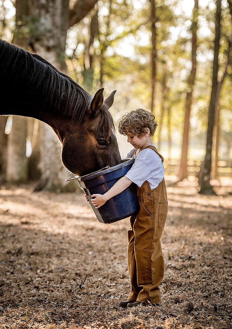 Boy Feeding Horse 