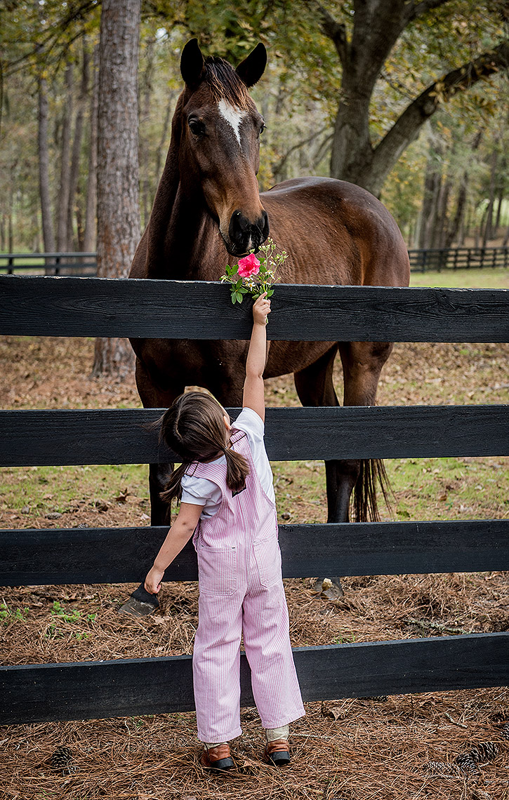Girl with Flower and Horse