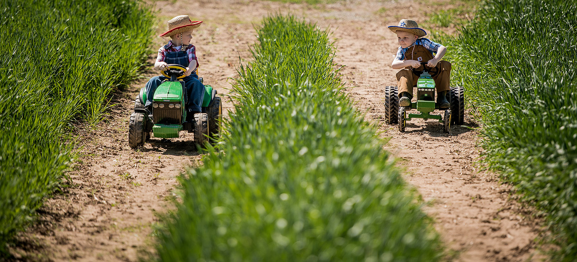 Kids Playing on Tractors Photo