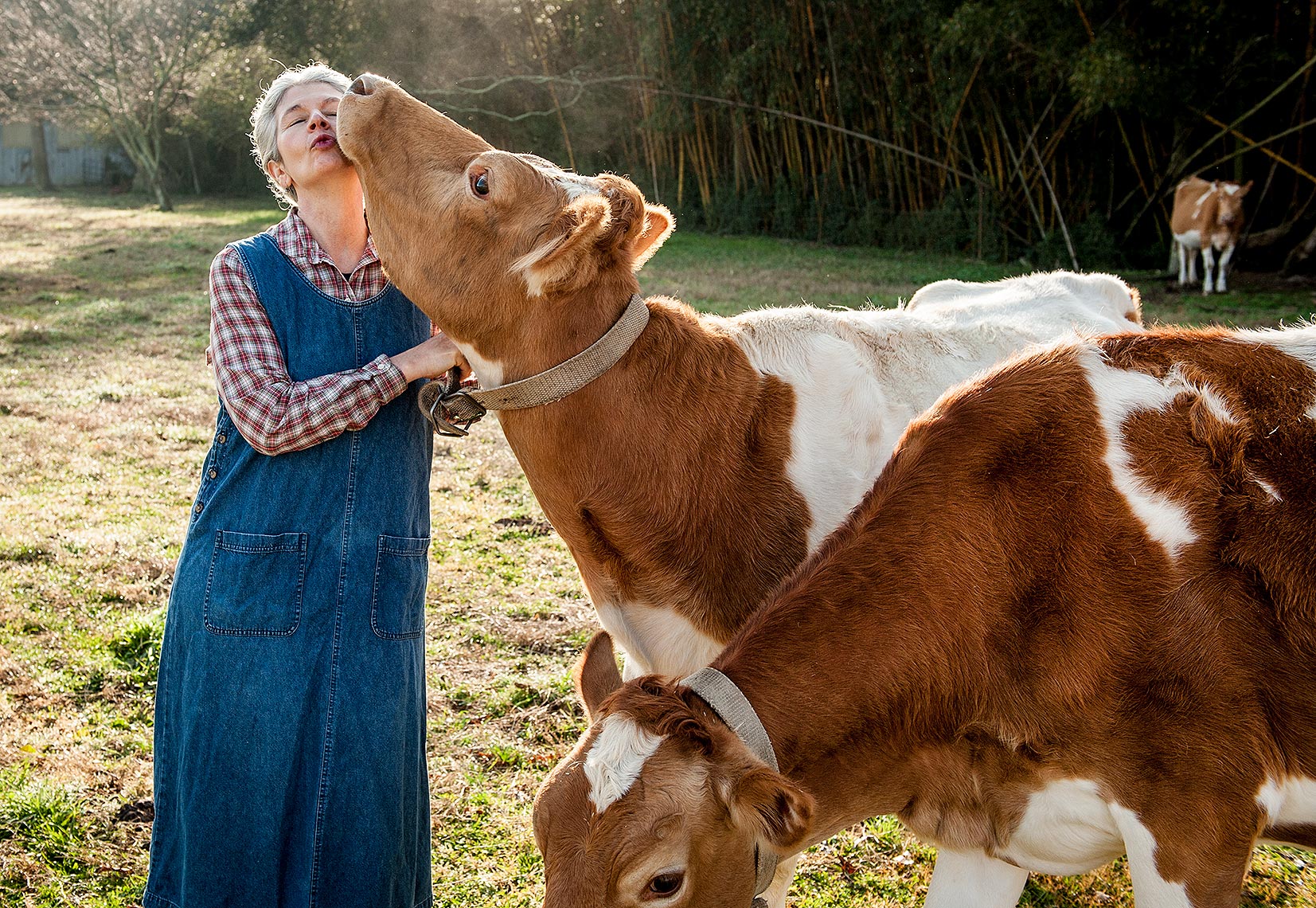 Woman Dairy Farmer Photo