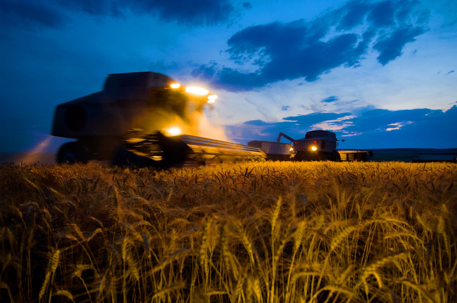 Wheat Harvest Sunset Photography