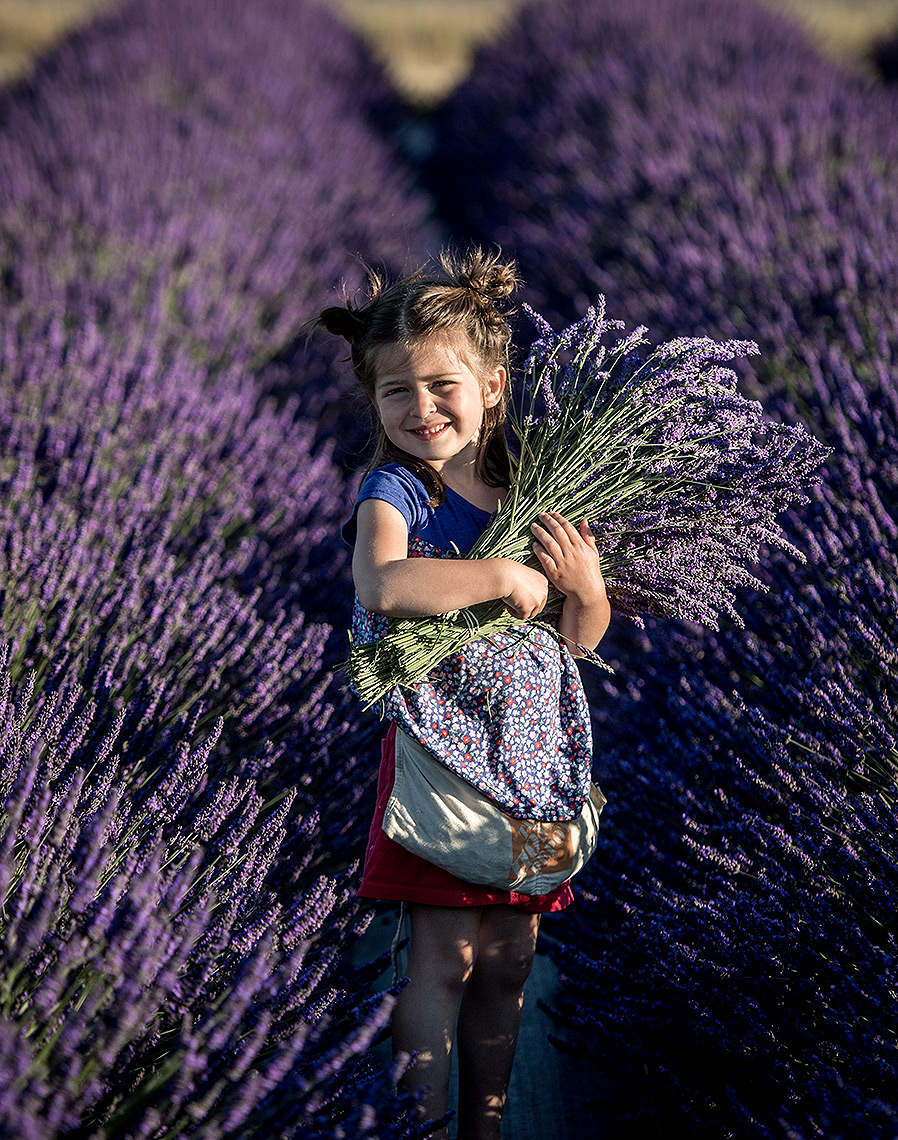Girl Gathering Lavender Photo
